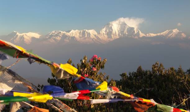 monte dhaulagiri con banderas de oración y rododendros - many colored prayer flags fotografías e imágenes de stock