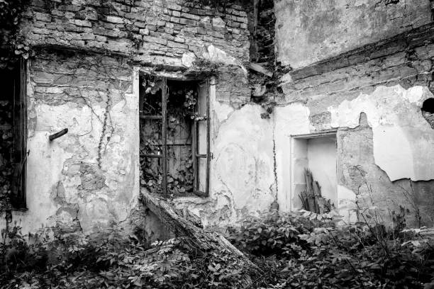 istock Abandoned house. Black and white photo 1317765714