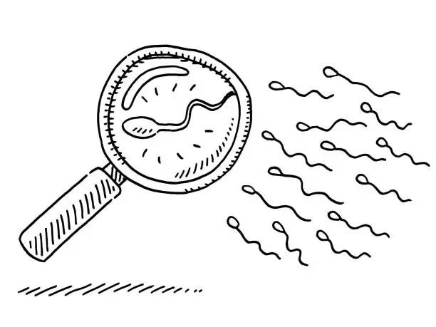Vector illustration of Sperm Under Magnifying Glass Drawing