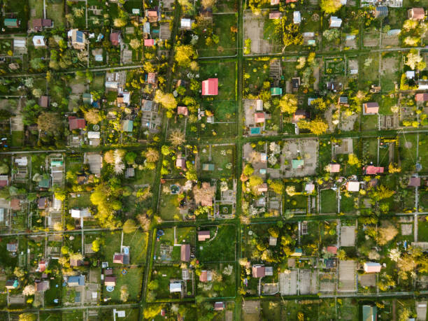 istock Urban Plot Vegetables Gardens at Spring Season. Aerial Drone Top Down View 1317766872