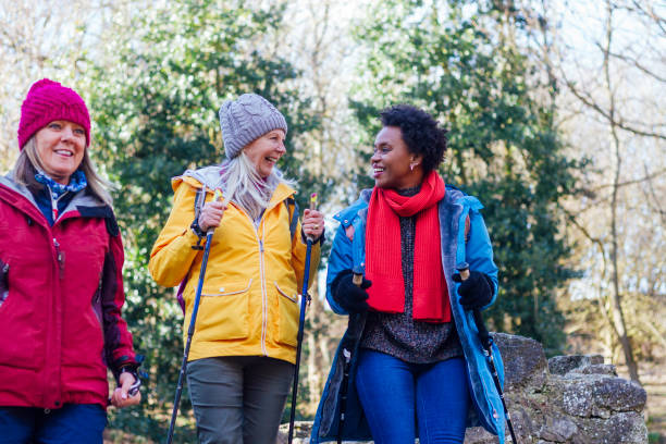 istock Hiking With Good Friends 1317767954