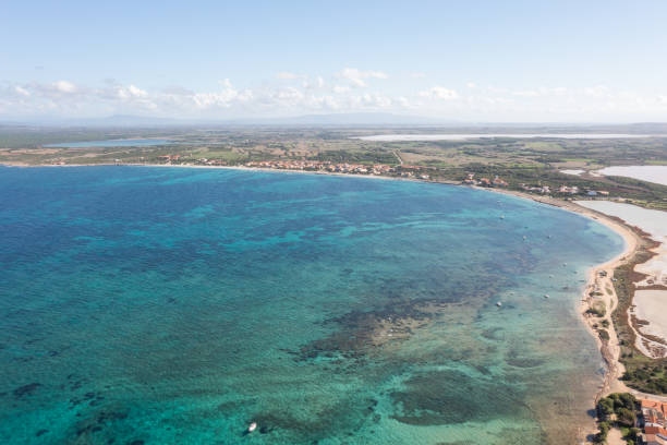istock Drone view of coastline 1317768785