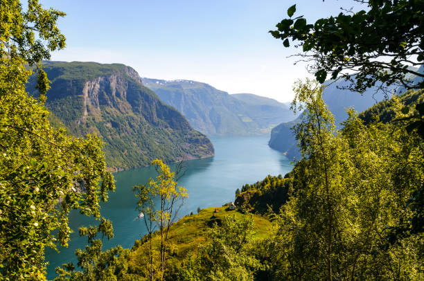 View over the Aurlandsfjord in Norway during a beautiful summer day