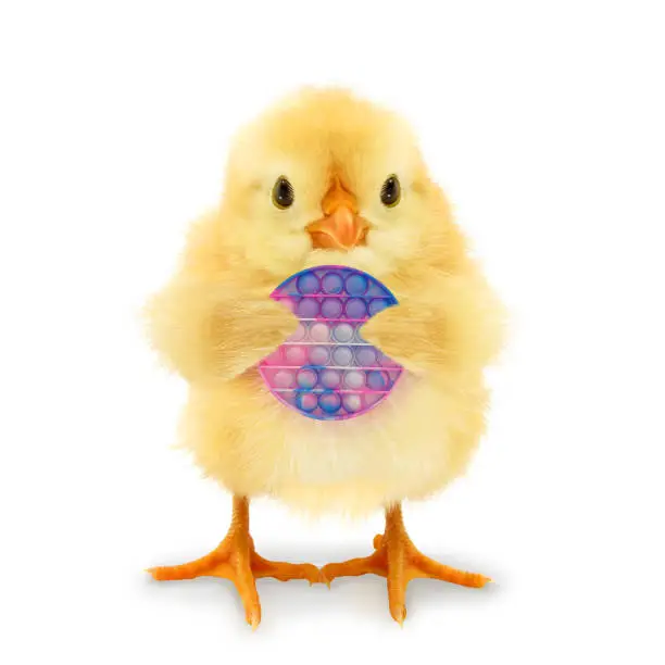 Photo of Cute chick is playing with push bubble popper fidget toy popular puzzle game toy to relieve stress and anxiety and relax the mood