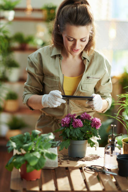 istock female at home in sunny day making photos using smartphone 1317771334