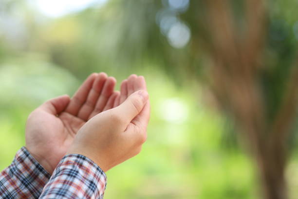 istock man's hands praying in green indoor background 1317773986