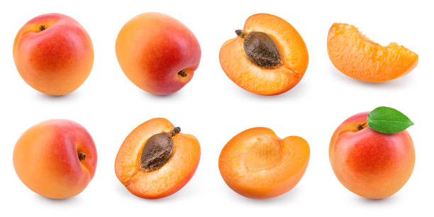 istock Apricot isolated. Apricots on white. Whole, half, slice apricots with leaf. Apricot set. Full depth of field. 1317775158