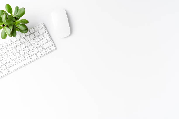 istock Modern office desktop with keyboard, mouse and small green plant. Business background with copyspace 1317775620