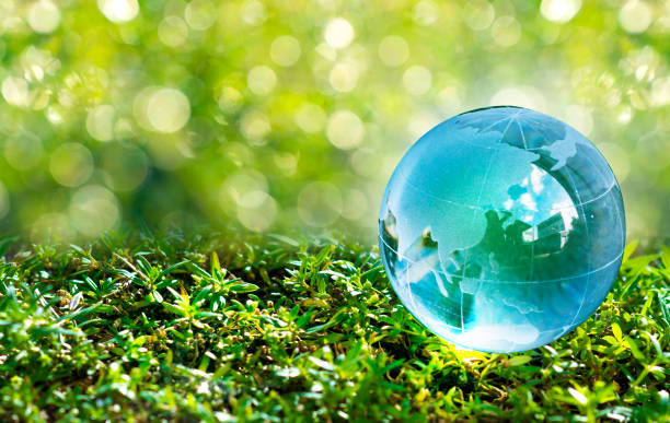 istock Renewable energy concept Earth Day or environment protection Hands protect forests that grow on the ground and help save the world. 1317776857