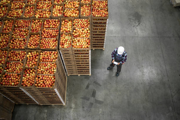 vista superior de los trabajadores de pie junto a las cajas de frutas de manzana en el almacén de la fábrica de alimentos orgánicos. - alimento fotografías e imágenes de stock
