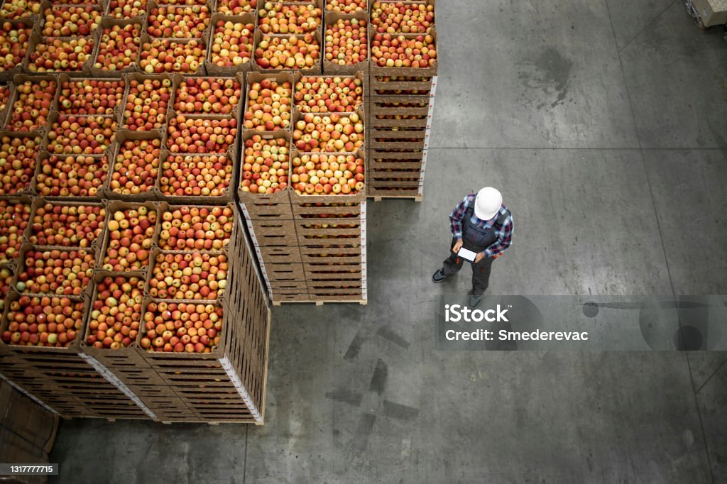 Top view of worker standing by apple fruit crates in organic food factory warehouse. Food Stock Photo