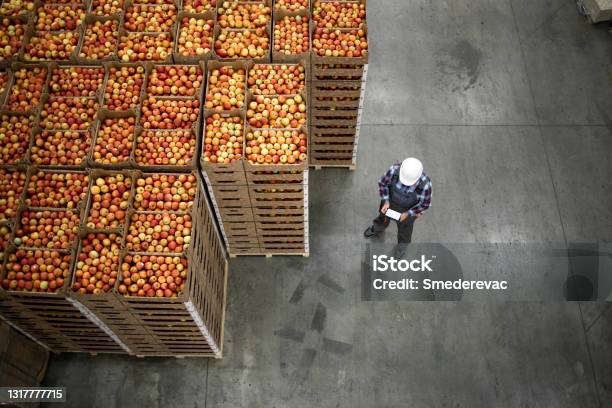 Top View Of Worker Standing By Apple Fruit Crates In Organic Food Factory Warehouse Stock Photo - Download Image Now