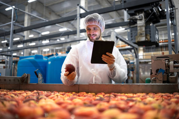 istock Technologist doing quality control of apple fruit production in food processing plant. 1317777789