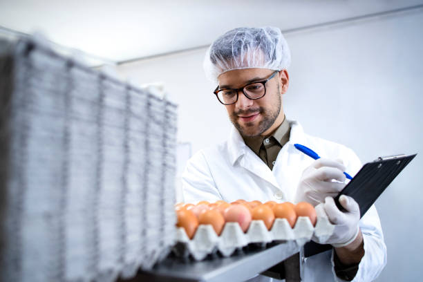 istock Food factory technologist controlling eggs production at the food processing plant. 1317778210
