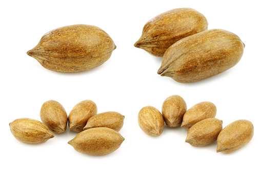 tasty pecan nuts in the shell on a white background