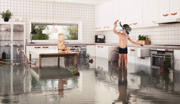 istock boys and flooding in the room. 1317785704