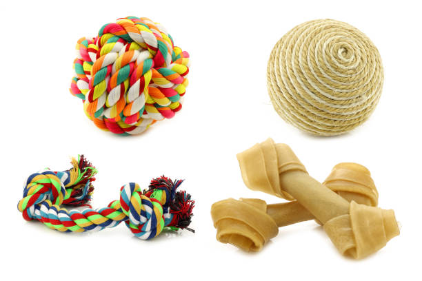 Dog toys on a white background