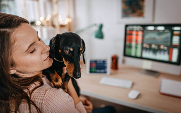 istock You came to play 1317787826