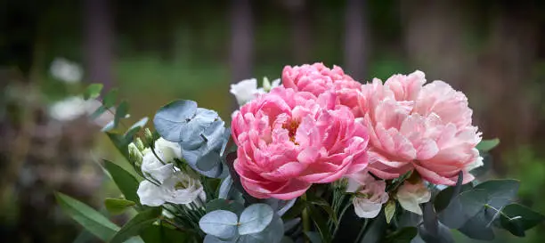Bouquet with peonies, Paeonia suffruticosa, against blurred background