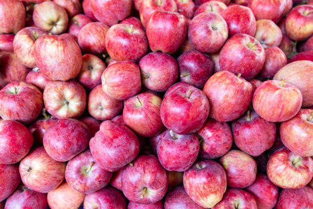 istock Apples background. Close-up on many red apples. 1317790820