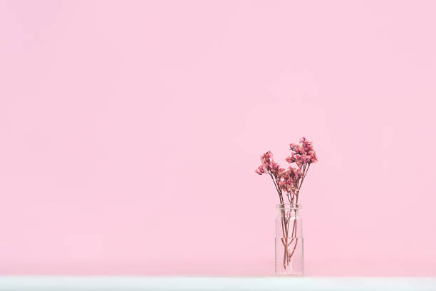 istock a glass bottle with water and flowers in it. Light and shadows from window 1317792172