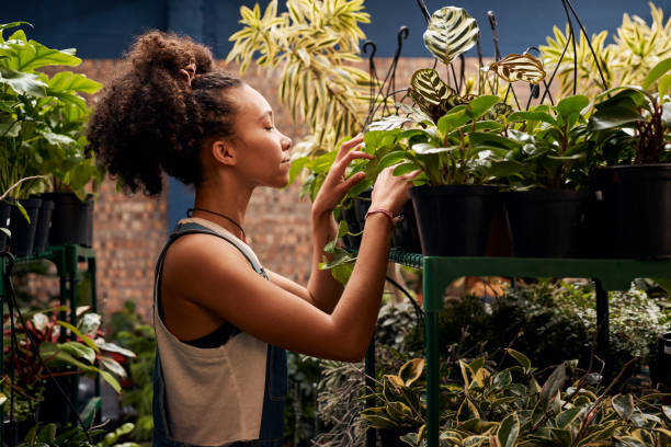 projectile d’une jeune femme travaillant avec des usines dans un centre de jardinage - garden center flower women plant photos et images de collection