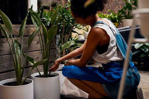 projectile d’une jeune femme travaillant avec des usines dans un centre de jardinage - garden center flower women plant photos et images de collection