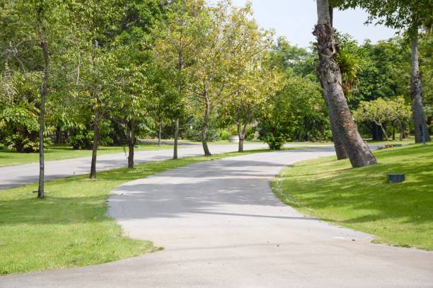 istock road in nature garden 1317796741
