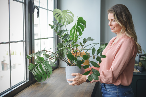 attractive middle aged woman with Potted Plant
