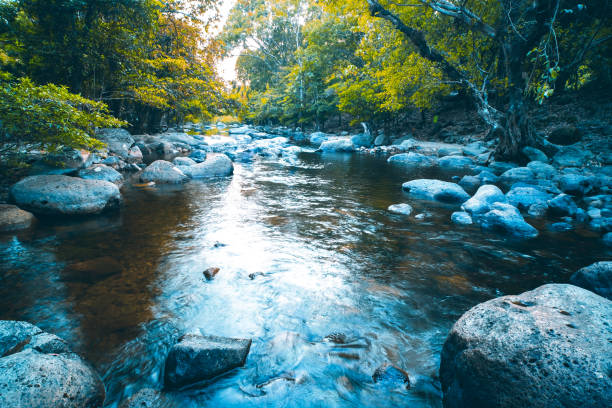 istock Jungle landscape with amazing stream at deep tropical rain forest 1317800073
