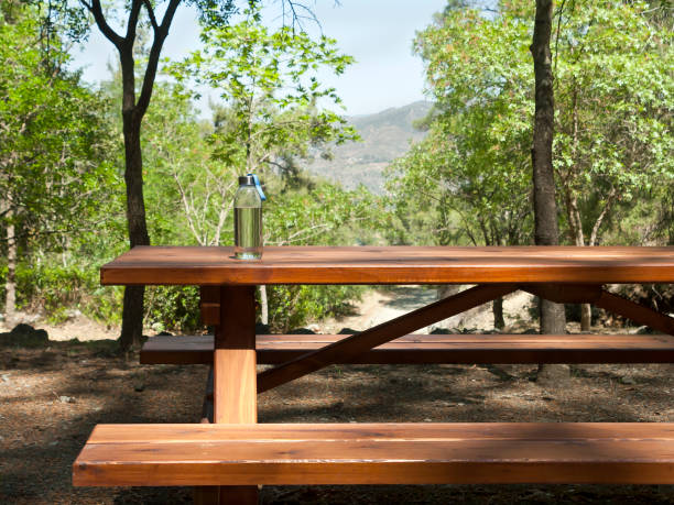 istock Picnic table with bottle of water 1317800305
