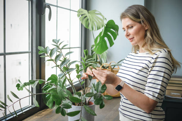 istock attractive middle aged woman with Potted Plant 1317802993