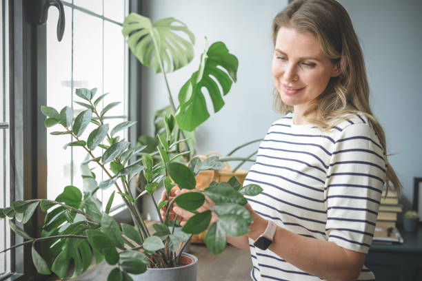 istock attractive middle aged woman with Potted Plant 1317803314