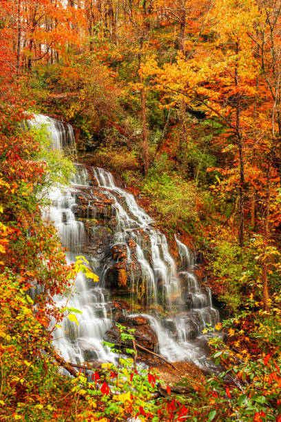istock Issaqueena Falls during autumn season in Walhalla, South Carolina 1317806596