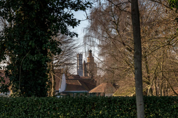 istock Church tower seen through dry foliage. 1317809083