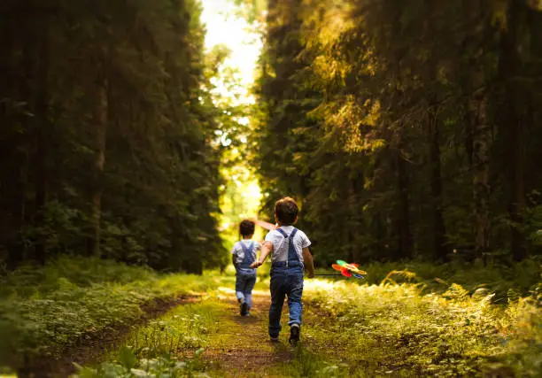 Photo of Rear view of two happy little boys running and playing in summer forest.