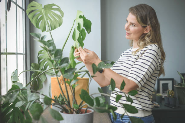 istock attractive middle aged woman with Potted Plant 1317809949