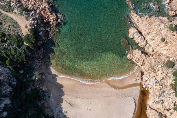 istock Drone top view of idyllic beach 1317811643