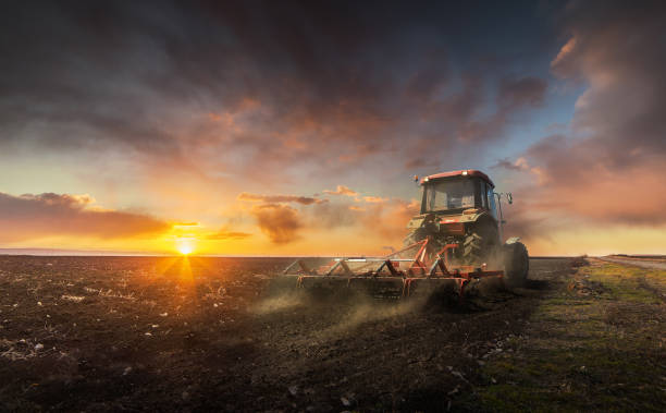 paisaje fantástica puesta de sol en el campo de trigo rayos de sol deslumbrar - tillage fotografías e imágenes de stock