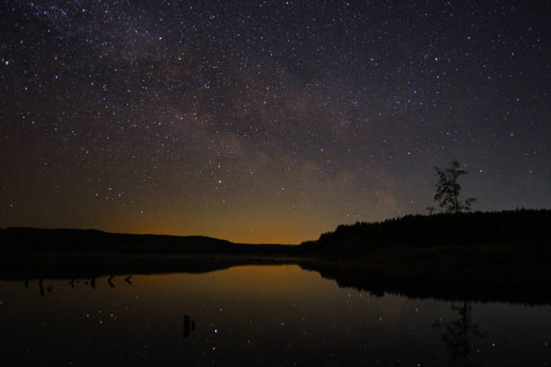 istock beautiful night starry sky above the river in the forest 1317811809