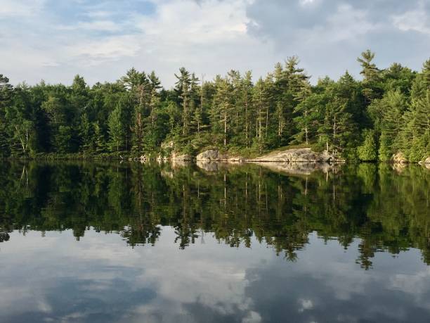 istock Georgian Bay Wilderness, Canada 1317813526