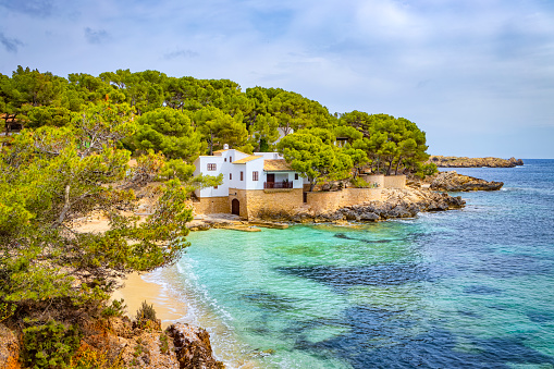Cala Gat is a small bay between cliffs on the easternmost part of Mallorca, 400 meters northeast of the port of Cala Rajada. Translated, Cala Gat means \