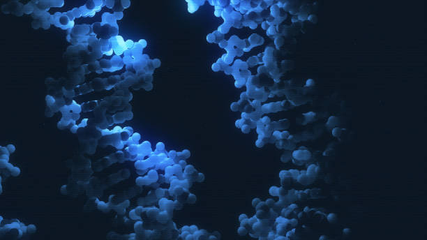 structure d’hélice de brin d’adn - dna helix molecular structure chromosome photos et images de collection
