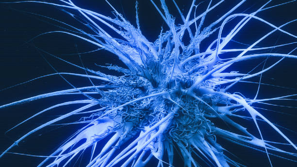 Hologram Cancer cells view - 3d rendered image, enhanced scanning electron micrograph (SEM) of cancer cell. Visual of overall shape of the cell's surface at a very high magnification.  Medical research concept.