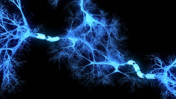 뉴런 시스템 홀로그램 - axon 뉴스 사진 이미지