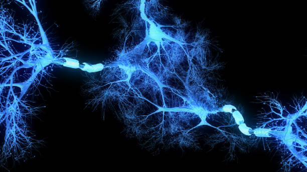 Neuron system hologram Neuron system hologram - 3d rendered image of Neuron cell network on black background. Hologram view  interconnected neurons cells with electrical pulses. Conceptual medical image.  Glowing synapse.  Healthcare concept. neural axon stock pictures, royalty-free photos & images