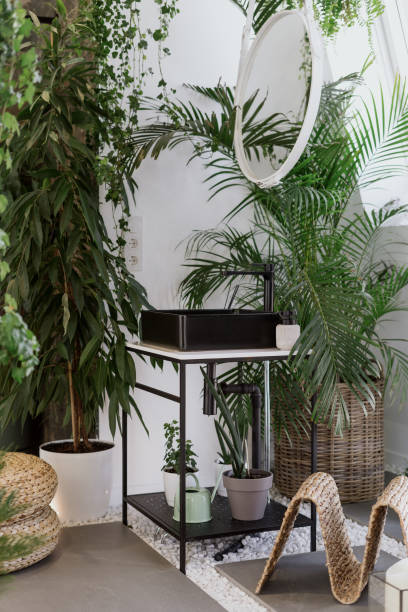 istock Black sink under mirror in bathroom with green potted plants 1317825527