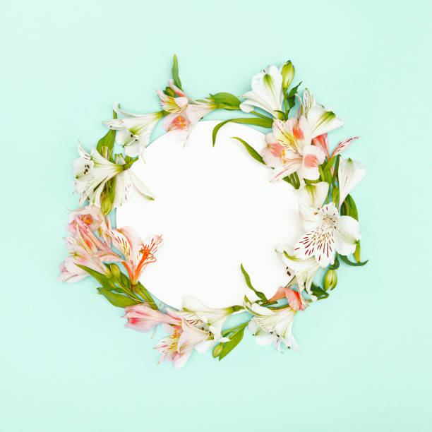 istock Beautiful composition with alstroemeria flowers lying in round shape on pastel background. Nature concept. Top view. Flat lay 1317830228