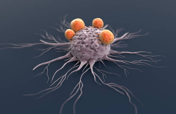 istock Cancer cell attacked by Lymphocytes 1317832684