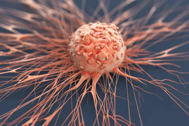 Photo of Human Cancer Cell